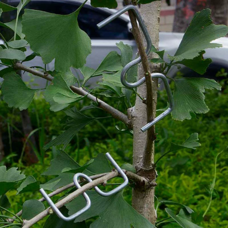 Concave Branch Cutter - 50pcsFruit Tree Branch Bender Tool Kit,