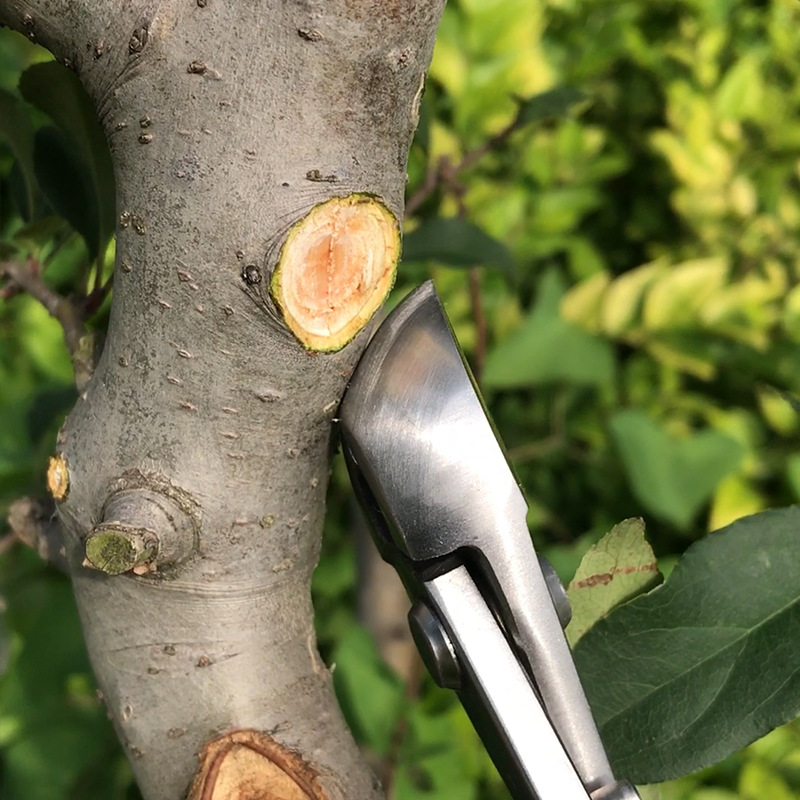 Concave Branch Cutter - 2 in 1 Bonsai Cutter Wear