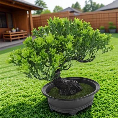 Bonsai Garden Indoor - Artificial Bonsai Pine Tree Lifelike Simulation
