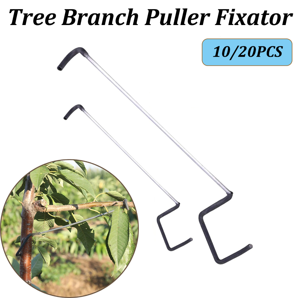 Concave Branch Cutter - 10/20PCS Fruit Tree Branch Limb Spreader