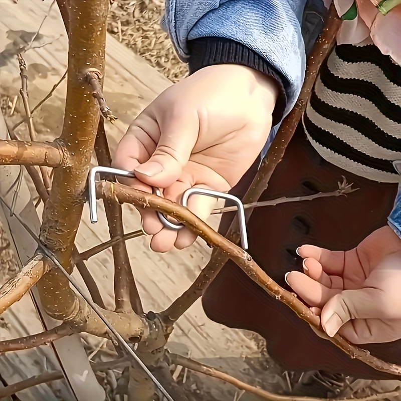 50pcsFruit Tree Branch Bender  - Concave Branch Cutter avaliação e preço