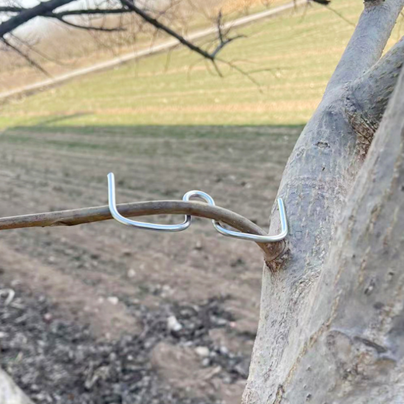 50pcsFruit Tree Branch Bender  - Concave Branch Cutter avaliação e preço