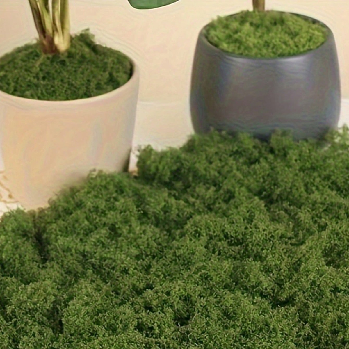 250g Artificial Moss Decoratio - Bonsai Garden Landscape Design avaliação e preço