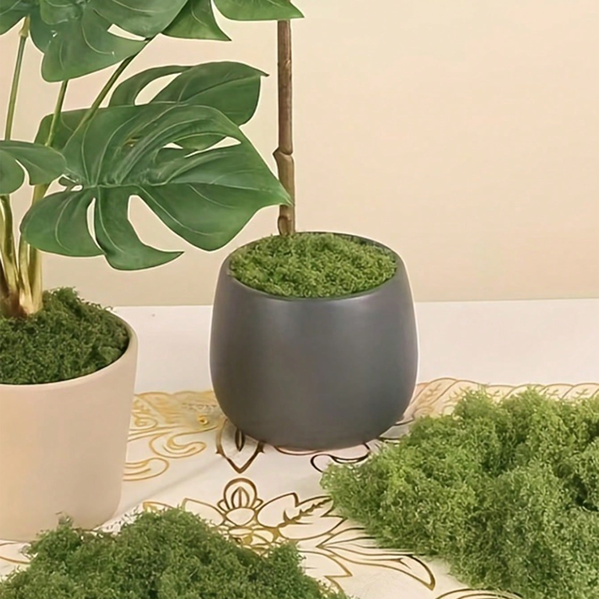 250g Artificial Moss Decoratio - Bonsai Garden Landscape Design avaliação e preço
