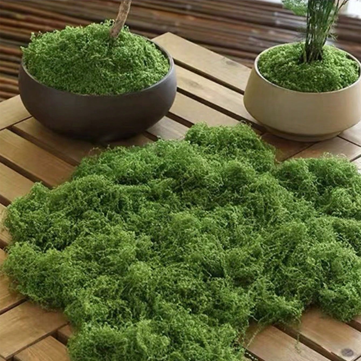 250g Artificial Moss Decoratio - Bonsai Garden Landscape Design avaliação e preço