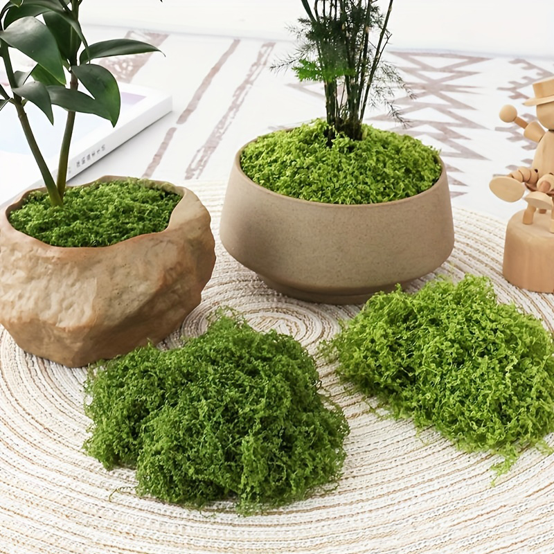 20g/0.7oz Artificial Garden Fa - Bonsai Garden Indoor avaliação e preço