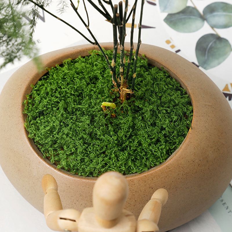 20g/0.7oz Artificial Garden Fa - Bonsai Garden Indoor avaliação e preço