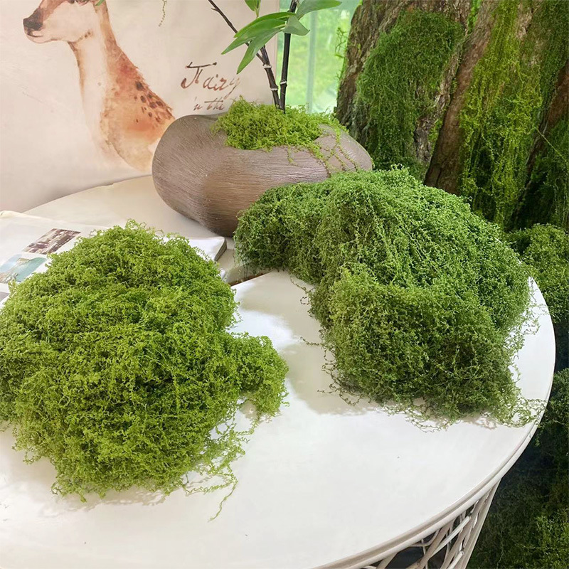 20g/0.7oz Artificial Garden Fa - Bonsai Garden Indoor avaliação e preço