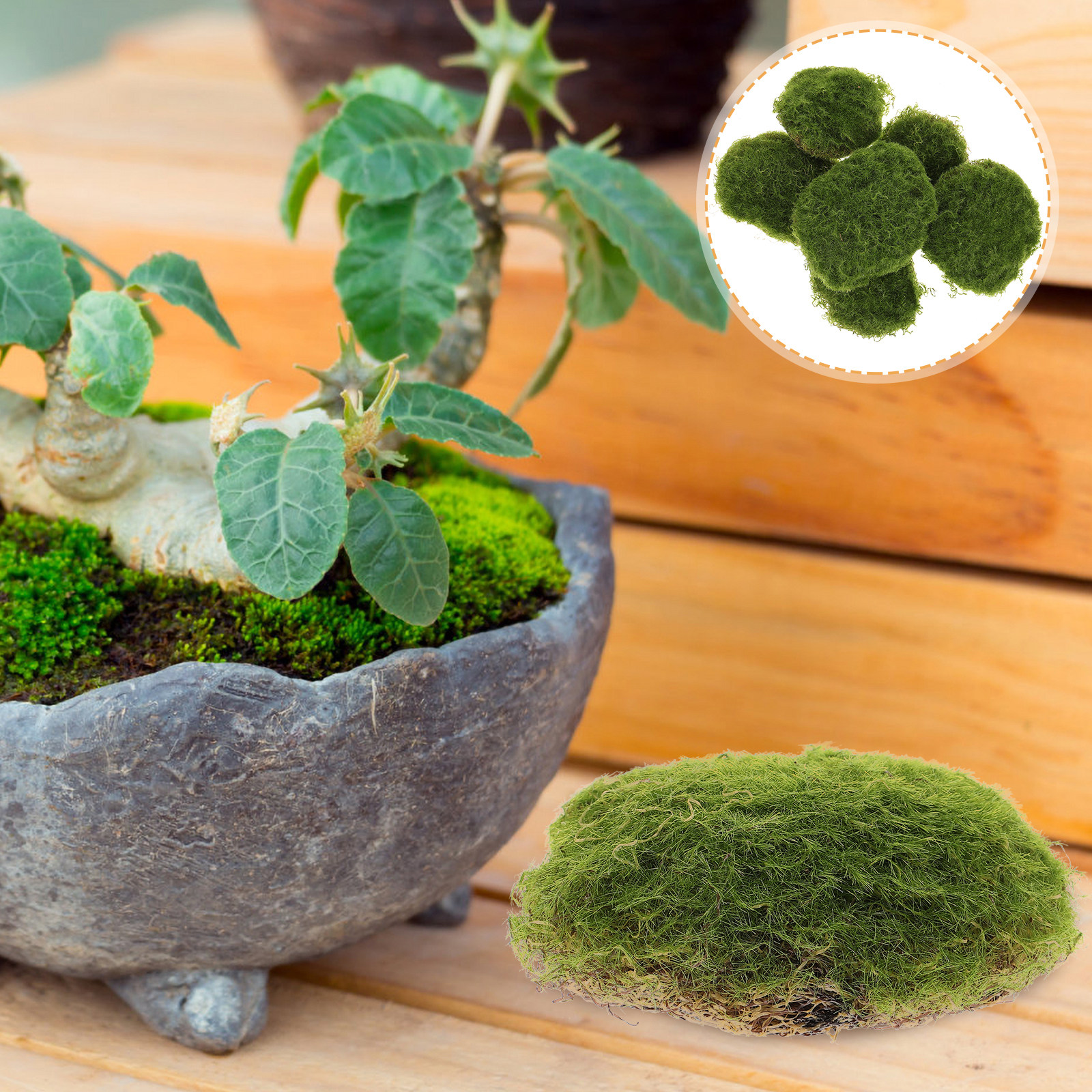 6Pcs Artificial Mossy Stone Se - Bonsai Garden Landscape Design avaliação e preço