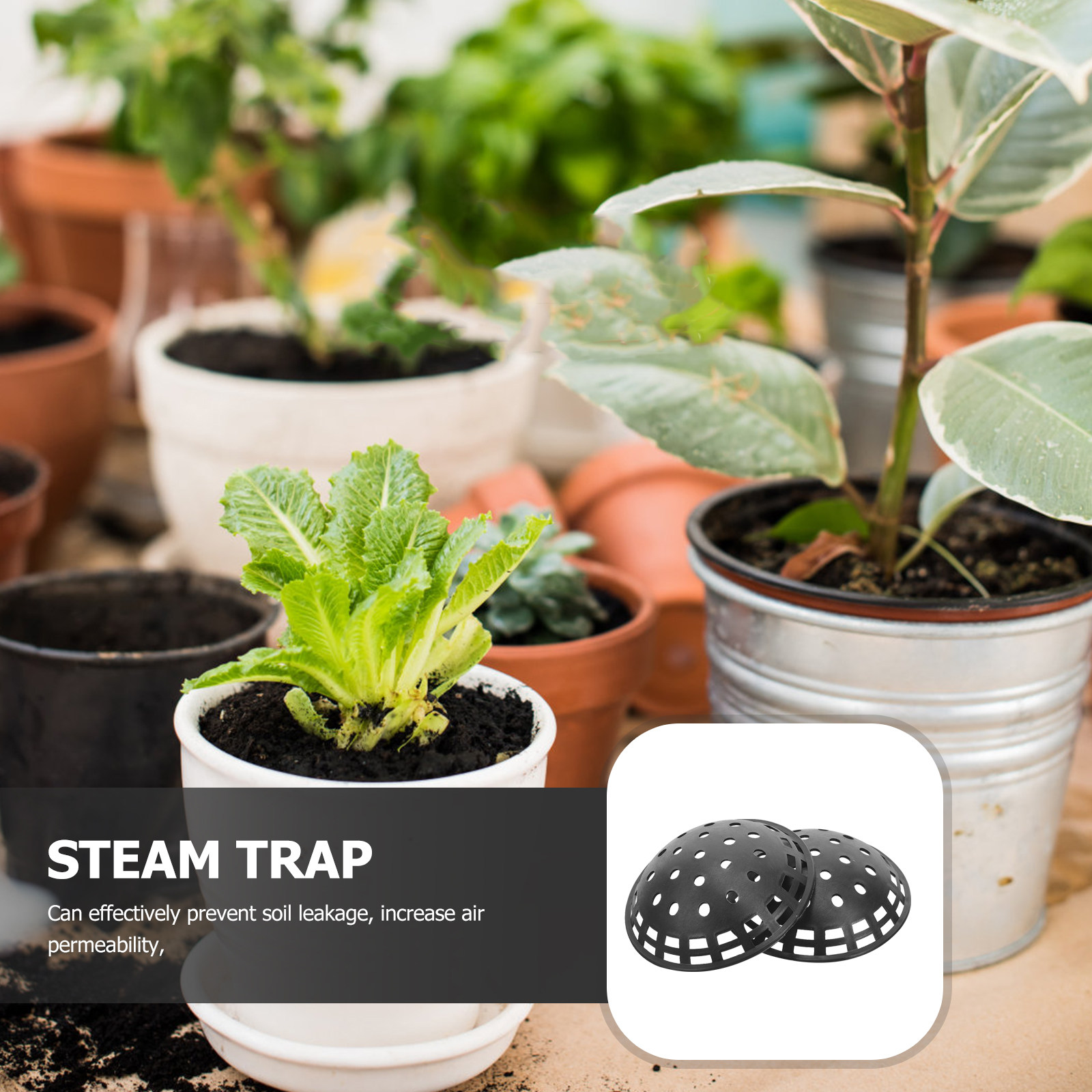 10Pcs Planter Hole Mesh Pad Pl - Bonsai Garden And Cafe avaliação e preço