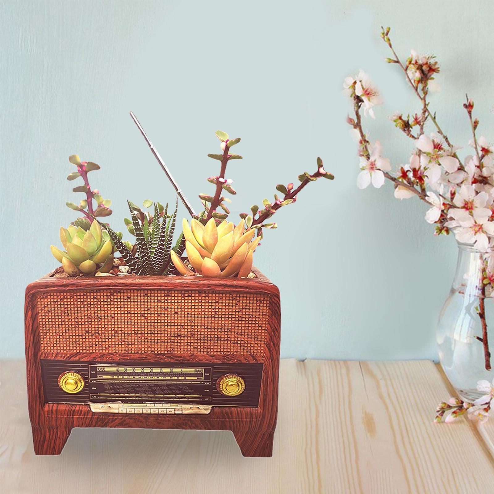 Resin Pot Radio Shape Supplies - Bonsai Garden And Cafe avaliação e preço