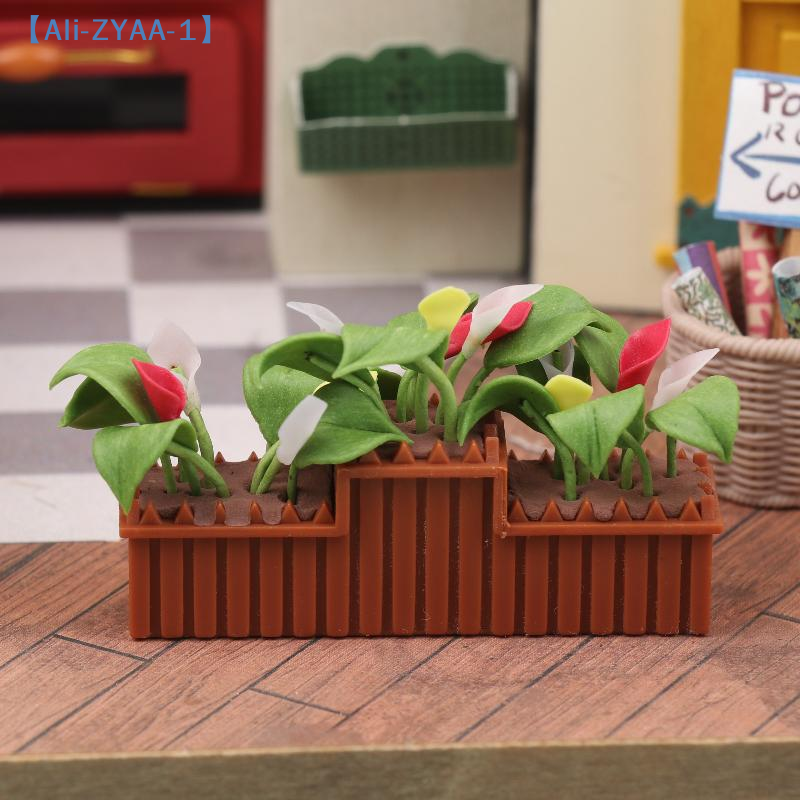 Miniature Calla Lily Potted Pl - Bonsai Garden House avaliação e preço