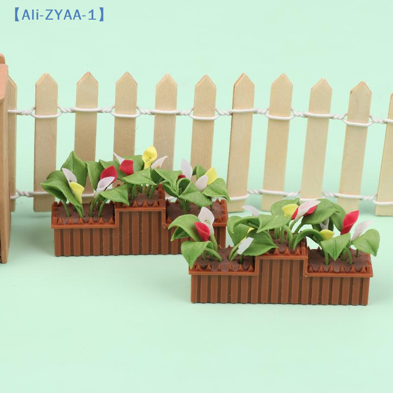 Miniature Calla Lily Potted Pl - Bonsai Garden House avaliação e preço