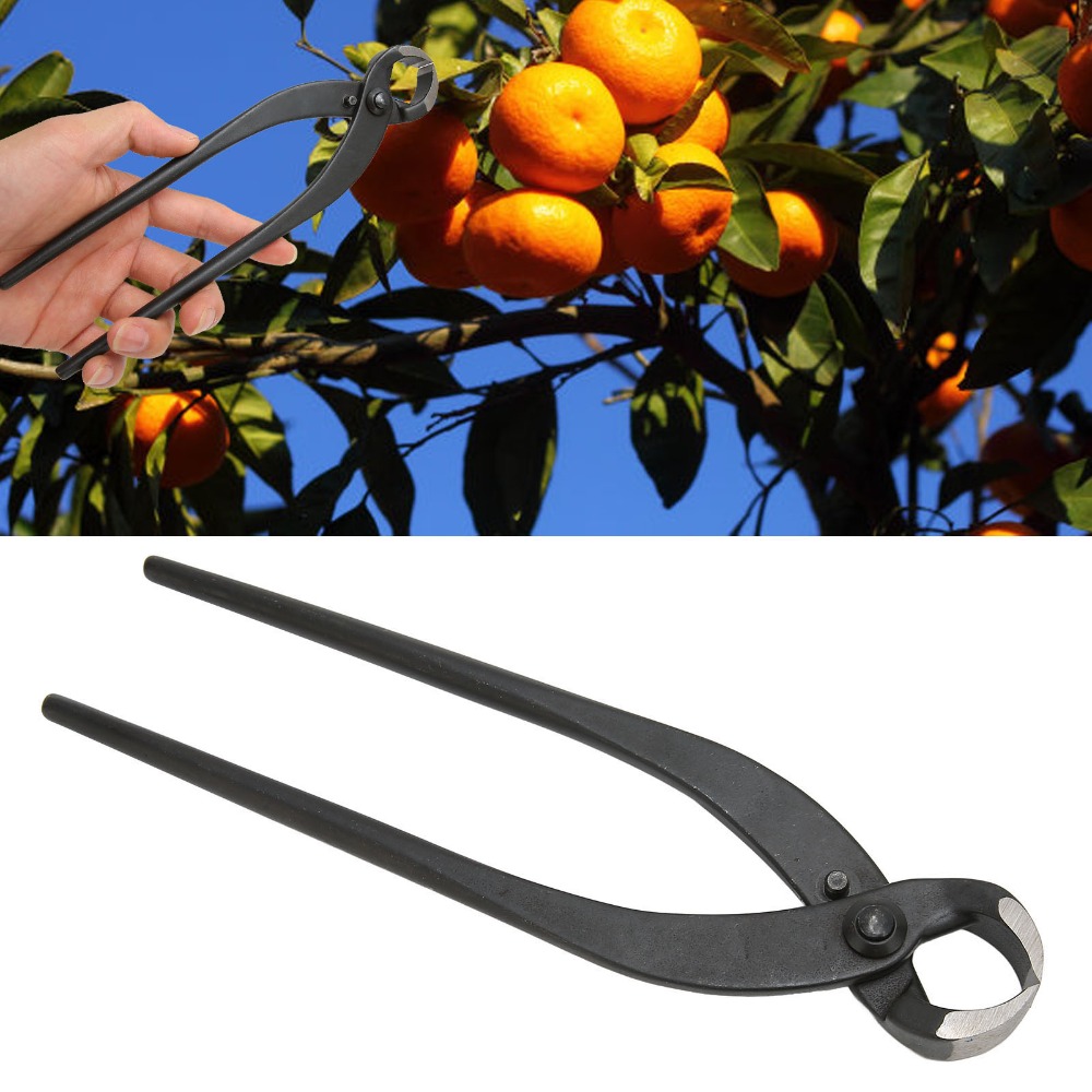 Manganese Steel Bonsai Branch  - Concave Branch Cutter avaliação e preço