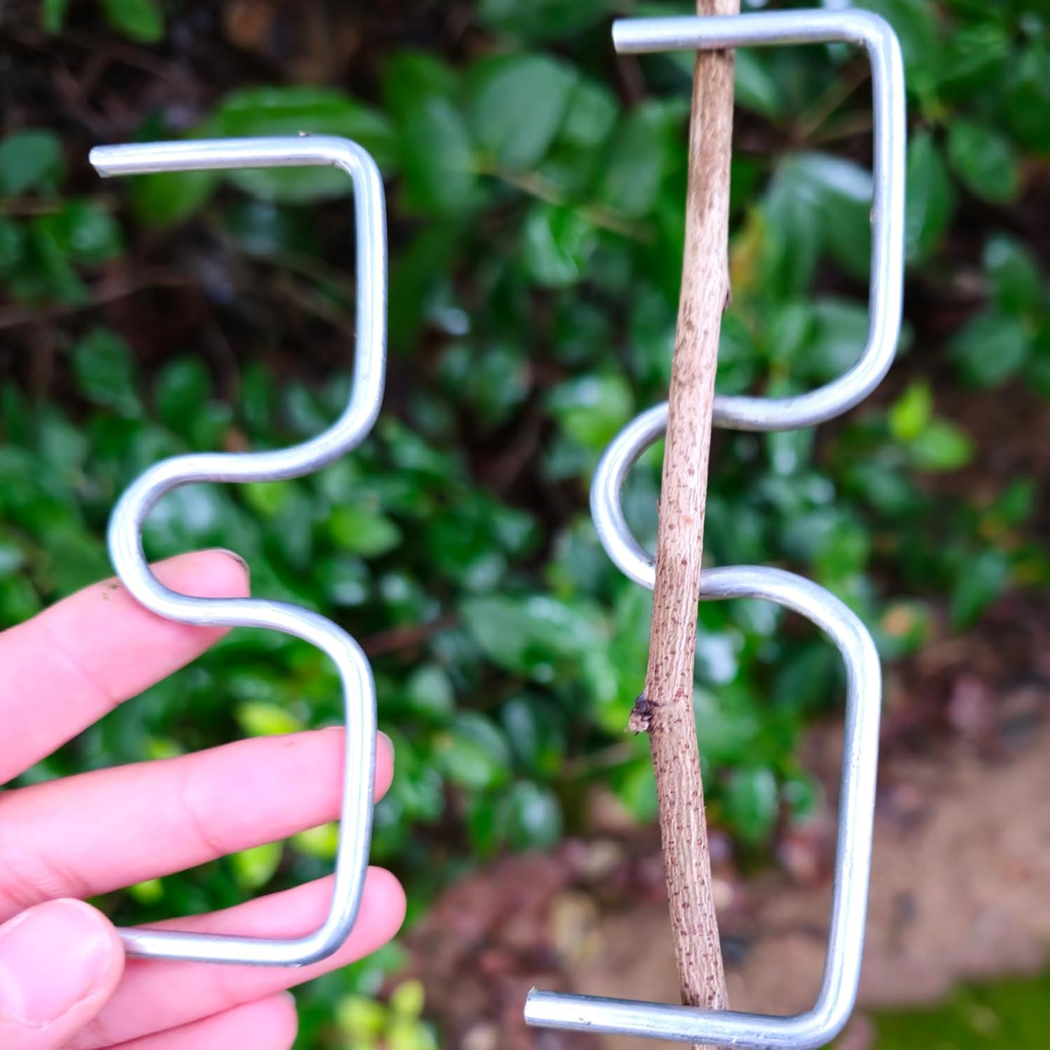 Fruit Tree Branch Shape Fixato - Concave Branch Cutter avaliação e preço