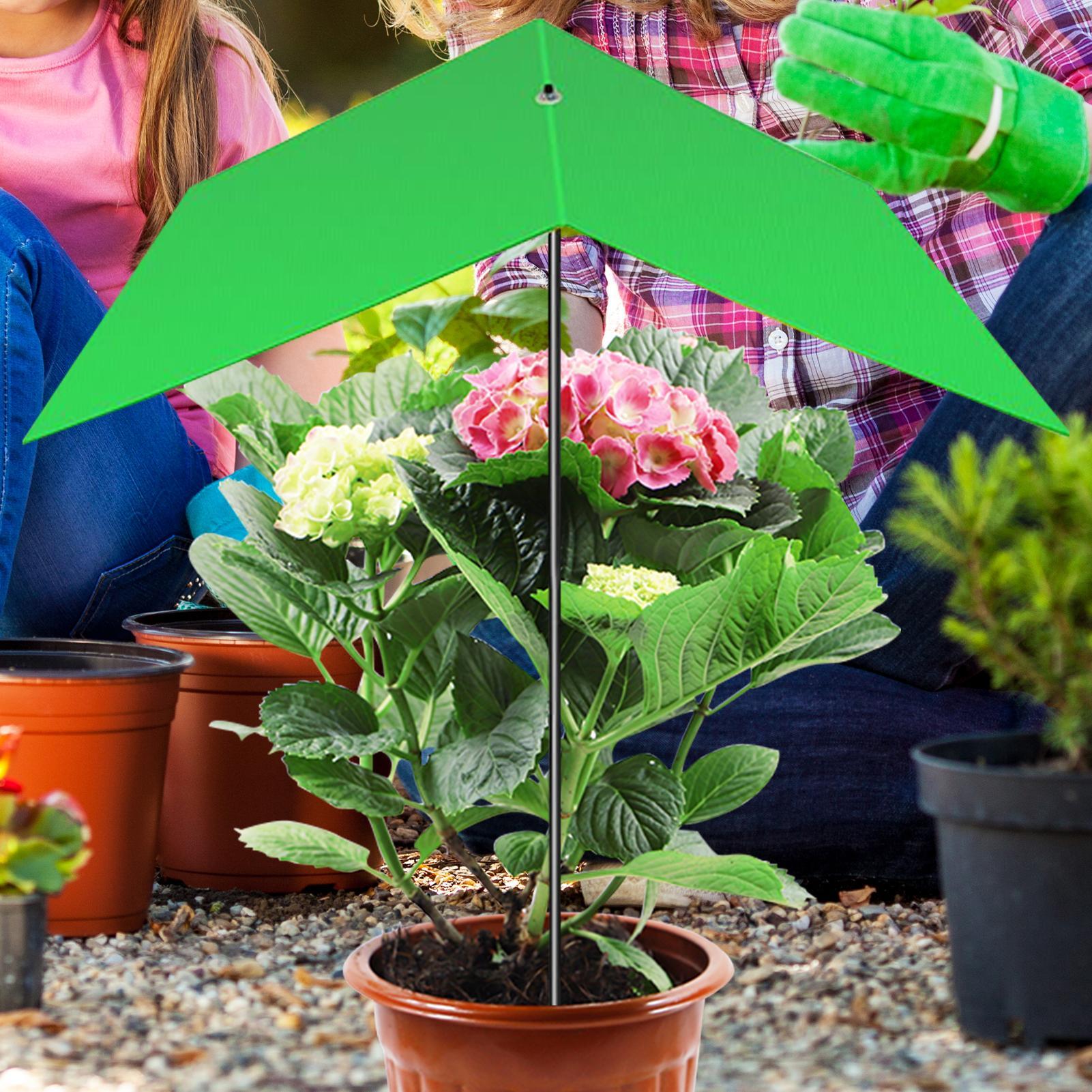 Plant Umbrella Anti-UV Heat Re - Bonsai Garden And Cafe avaliação e preço