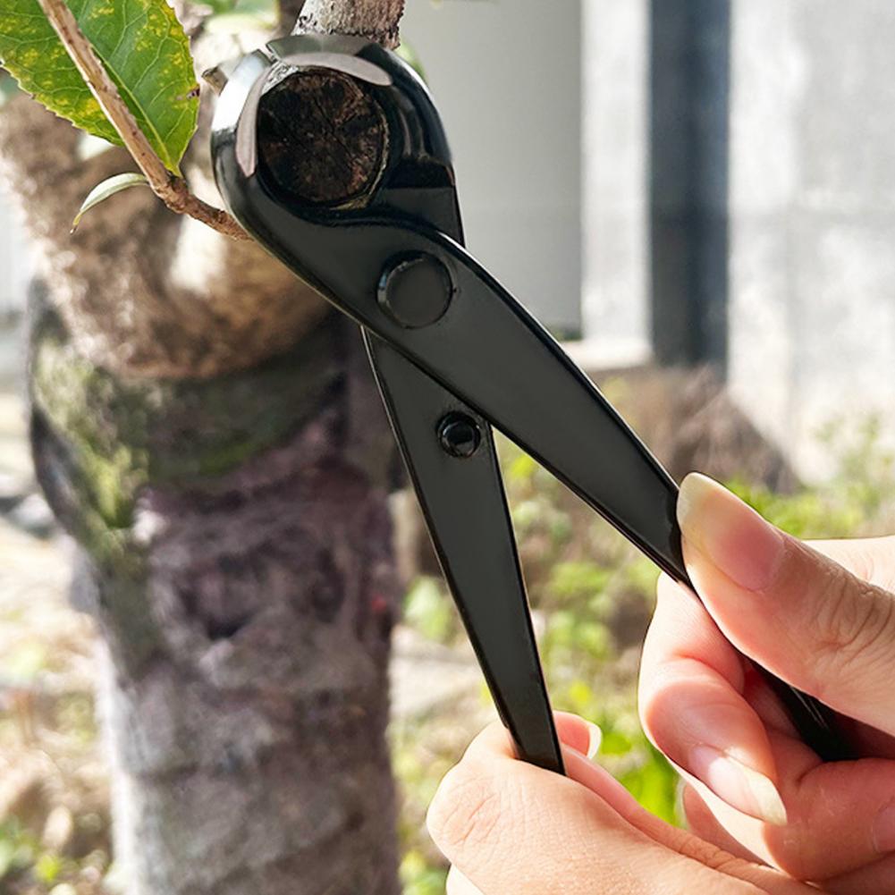 Bonsai Concave Branch Cutter M - Concave Branch Cutter avaliação e preço