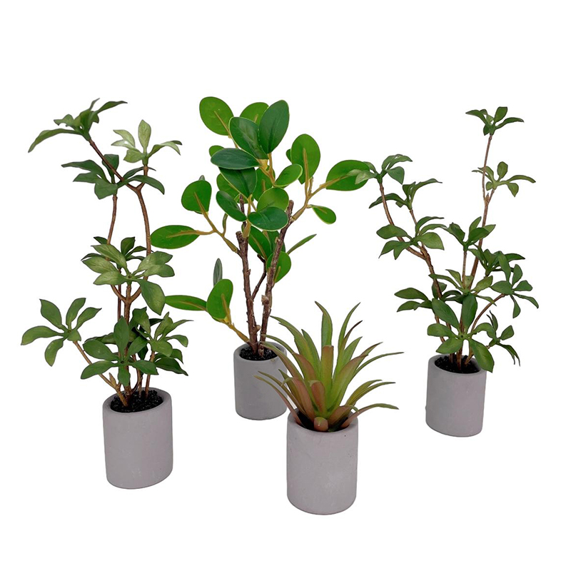 1:6 Dollhouse Miniature Potted - Bonsai Garden House avaliação e preço