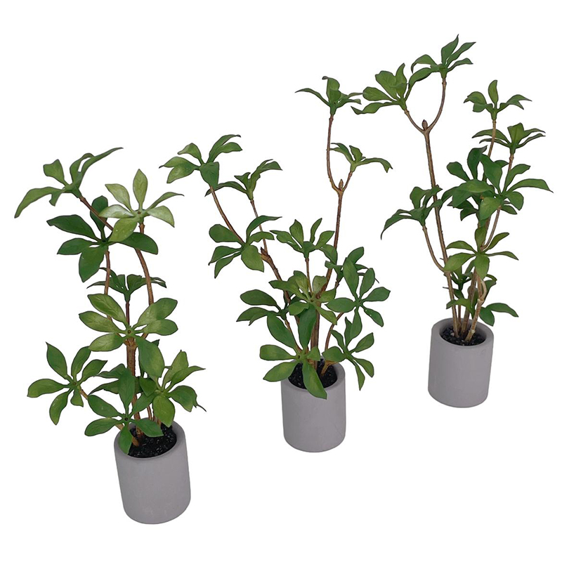 1:6 Dollhouse Miniature Potted - Bonsai Garden House avaliação e preço