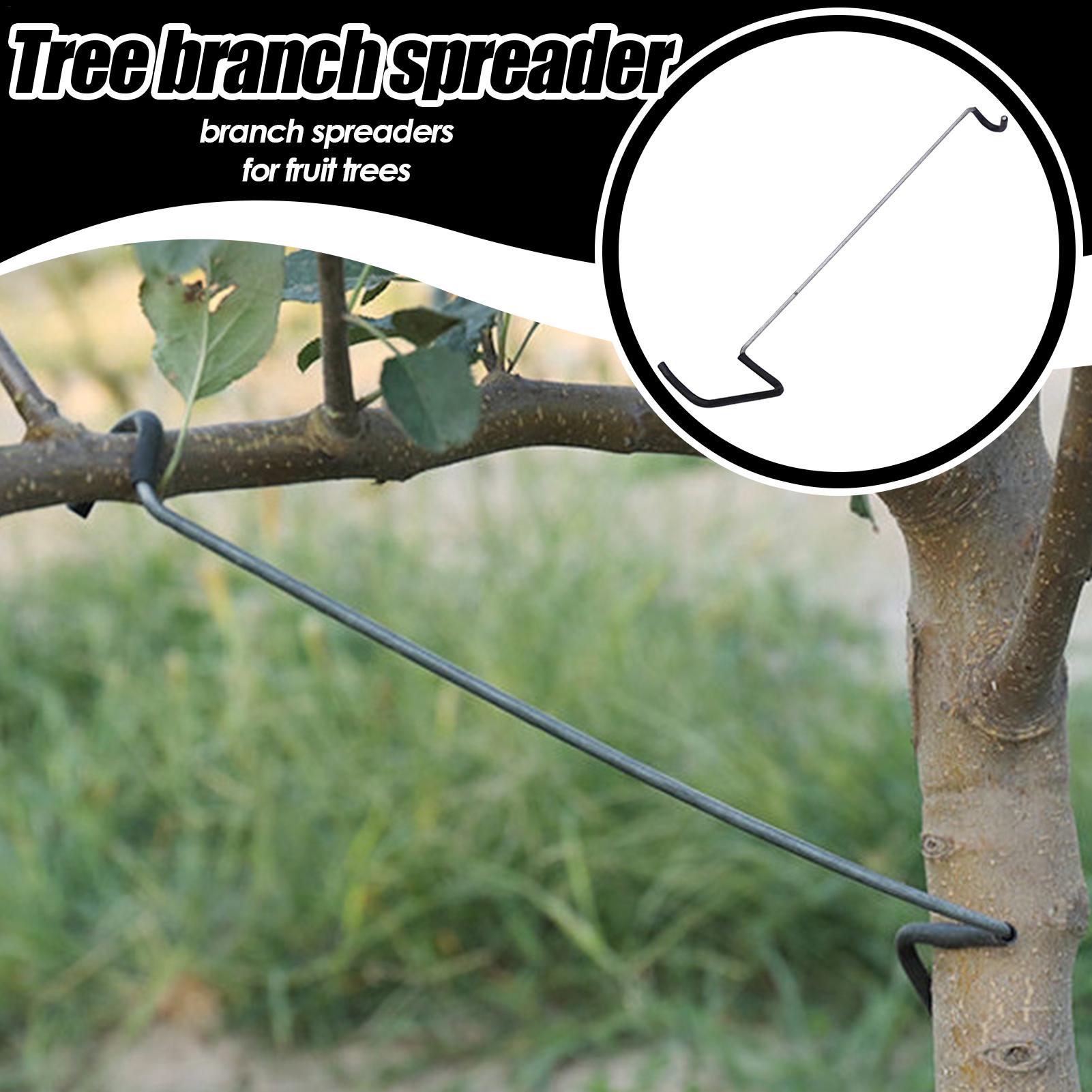 Fruit Tree Branch Spreader 10P - Concave Branch Cutter avaliação e preço