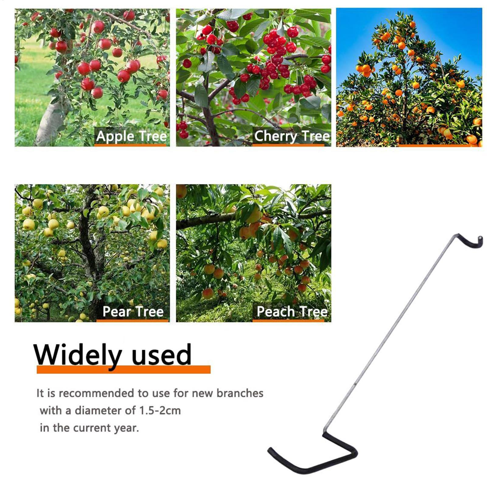 Fruit Tree Branch Spreader 10P - Concave Branch Cutter avaliação e preço