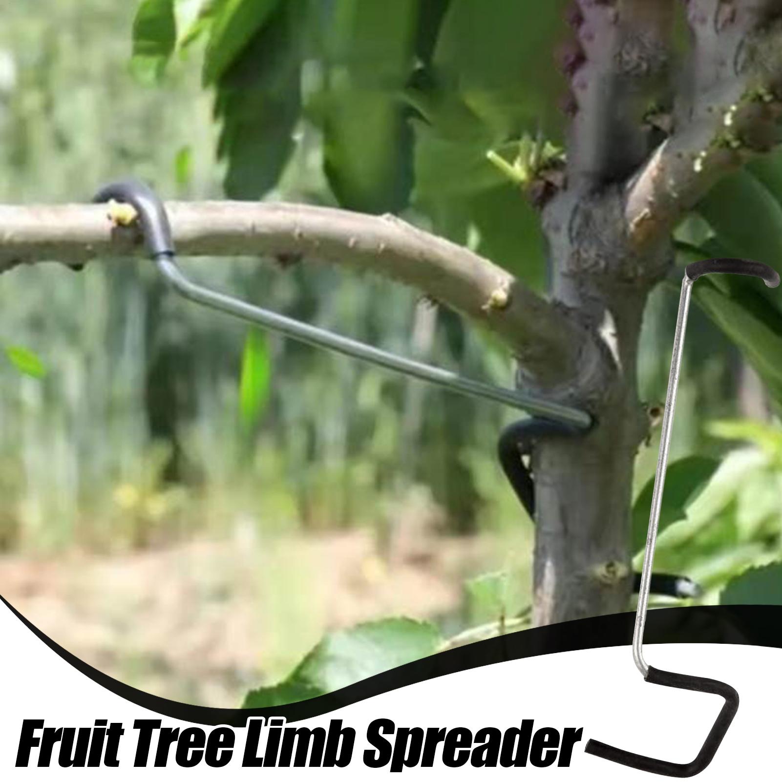 Fruit Tree Branch Spreader 10P - Concave Branch Cutter avaliação e preço