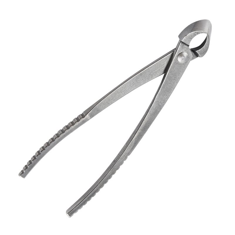 GYTB-Bonsai Concave Branch Cut - Concave Branch Cutter avaliação e preço