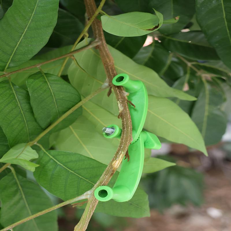 5pcs/set Heavy-Duty Adjustable - Concave Branch Cutter avaliação e preço