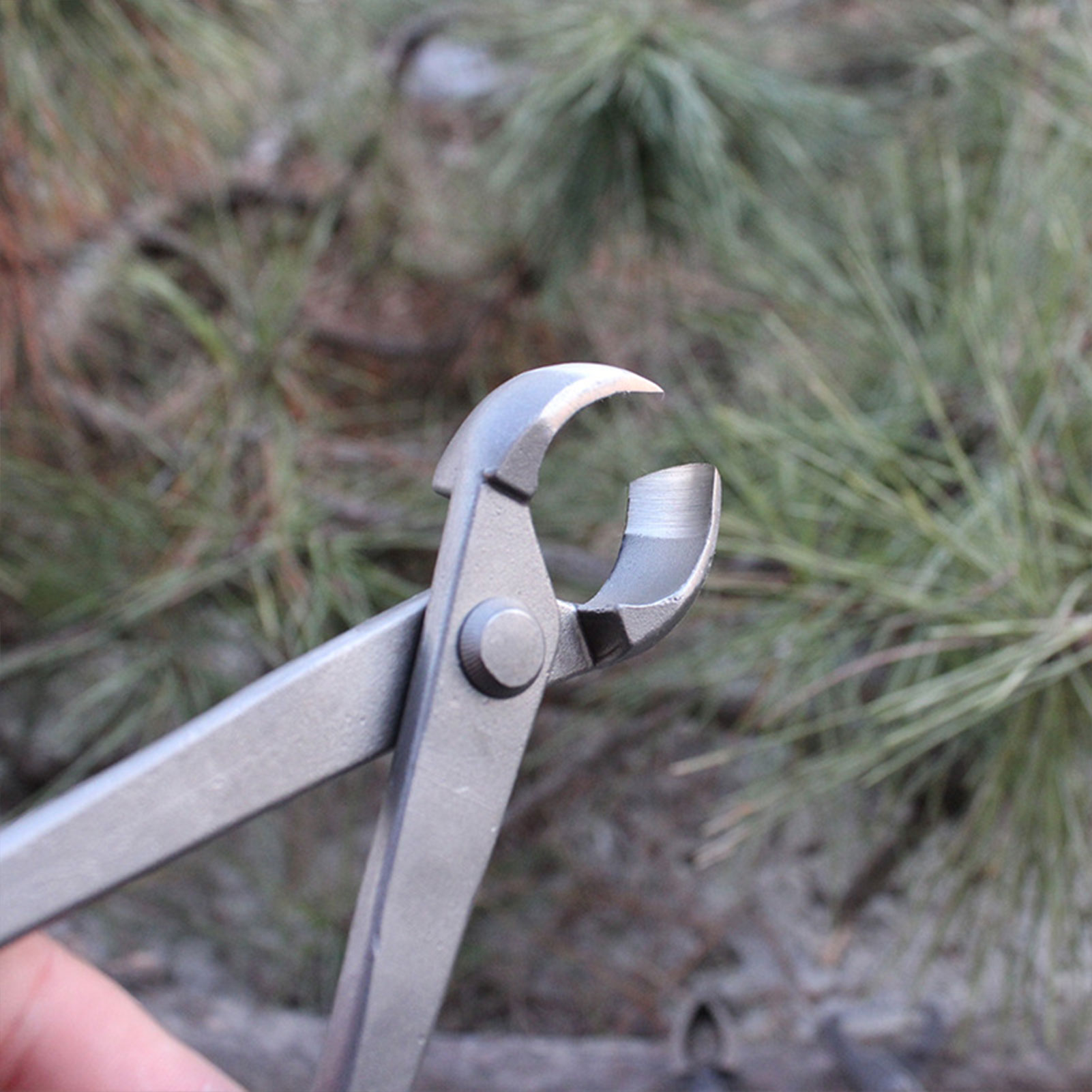 Garden Bonsai Knob Cutter Conc - Concave Branch Cutter avaliação e preço