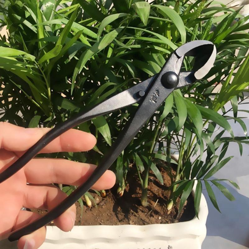 652F Sturdy Branch Cutter Carb - Concave Branch Cutter avaliação e preço