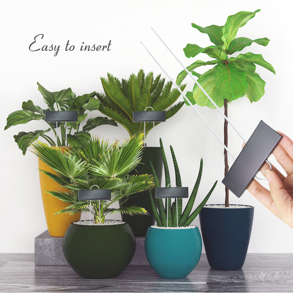 8/15/30/50PCS Weatherproof Lar - Bonsai Garden Indoor avaliação e preço