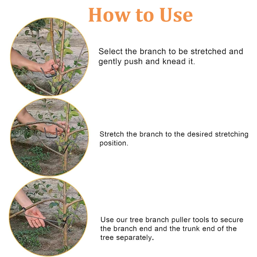 10/20PCS Fruit Tree Branch Lim - Concave Branch Cutter avaliação e preço