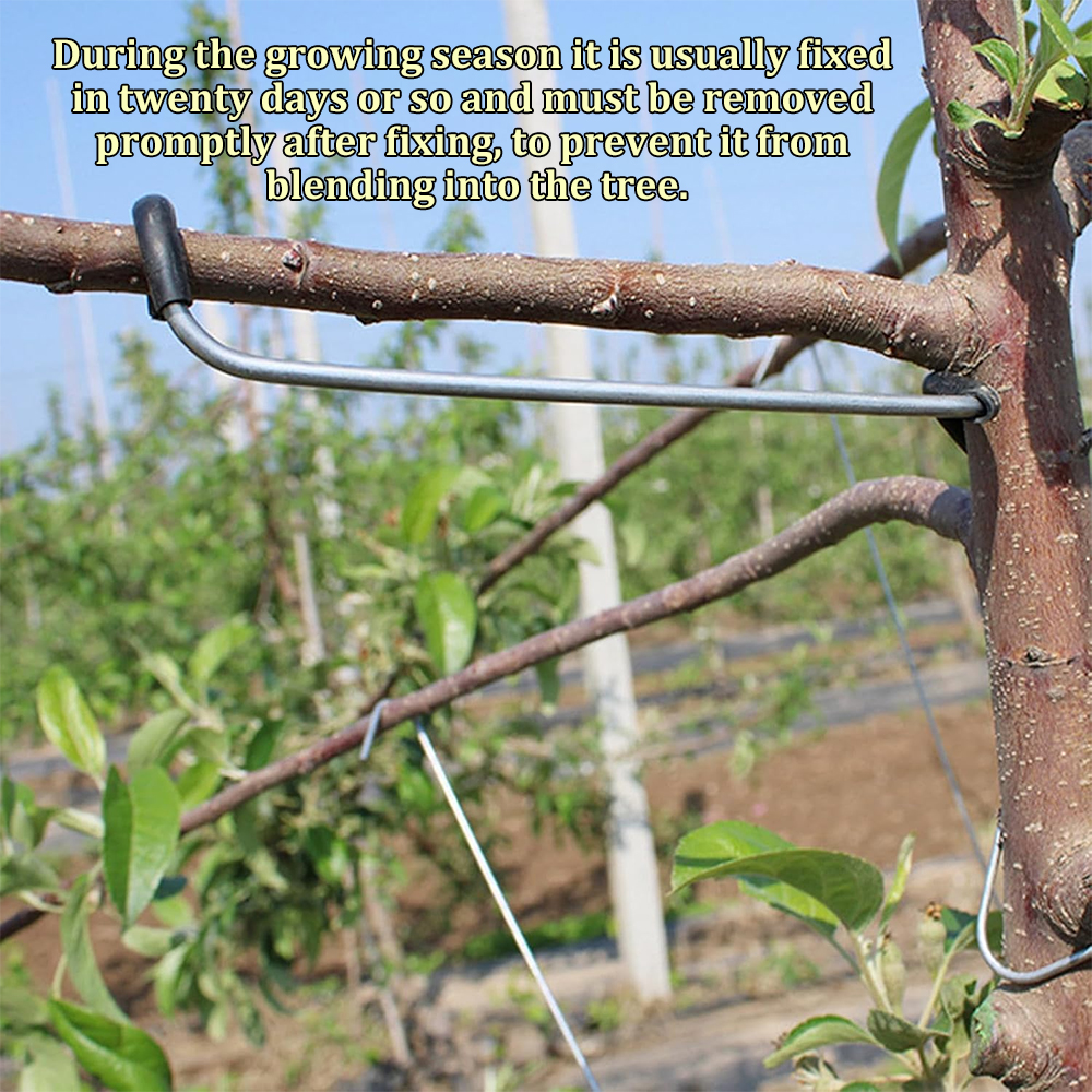10/20PCS Fruit Tree Branch Lim - Concave Branch Cutter avaliação e preço