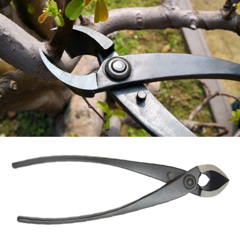 8 Inch Bonsai Concave Branch C - Concave Branch Cutter avaliação e preço