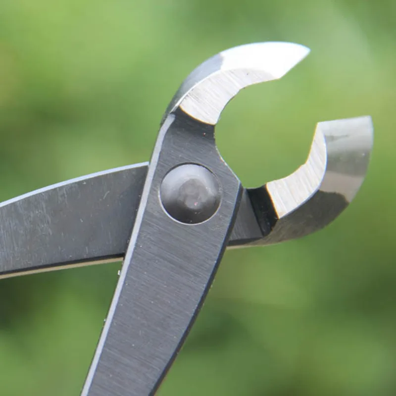 8 Inch Bonsai Concave Branch C - Concave Branch Cutter avaliação e preço