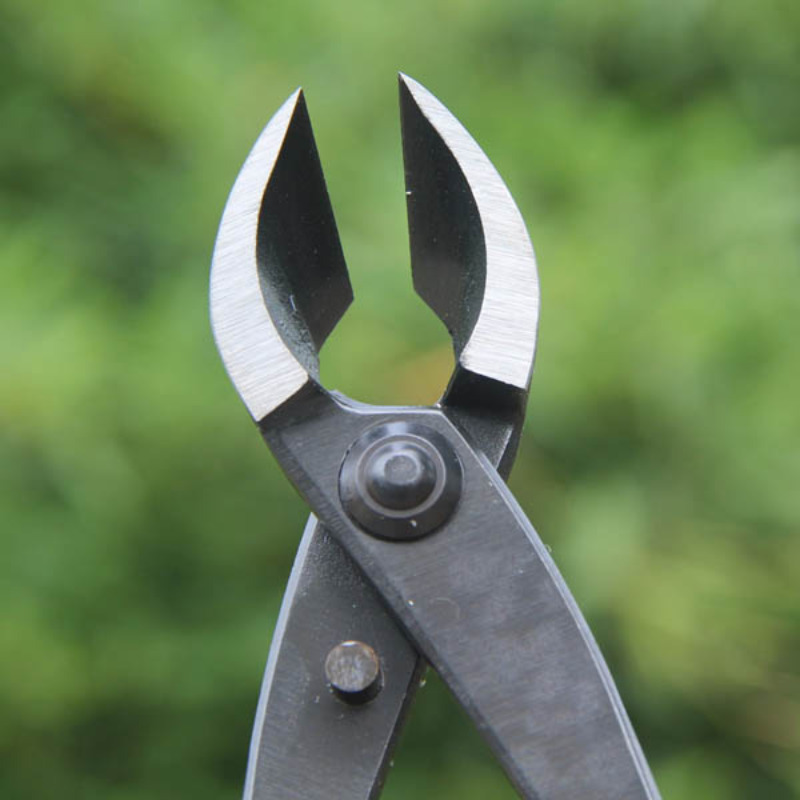 8 Inch Bonsai Concave Branch C - Concave Branch Cutter avaliação e preço